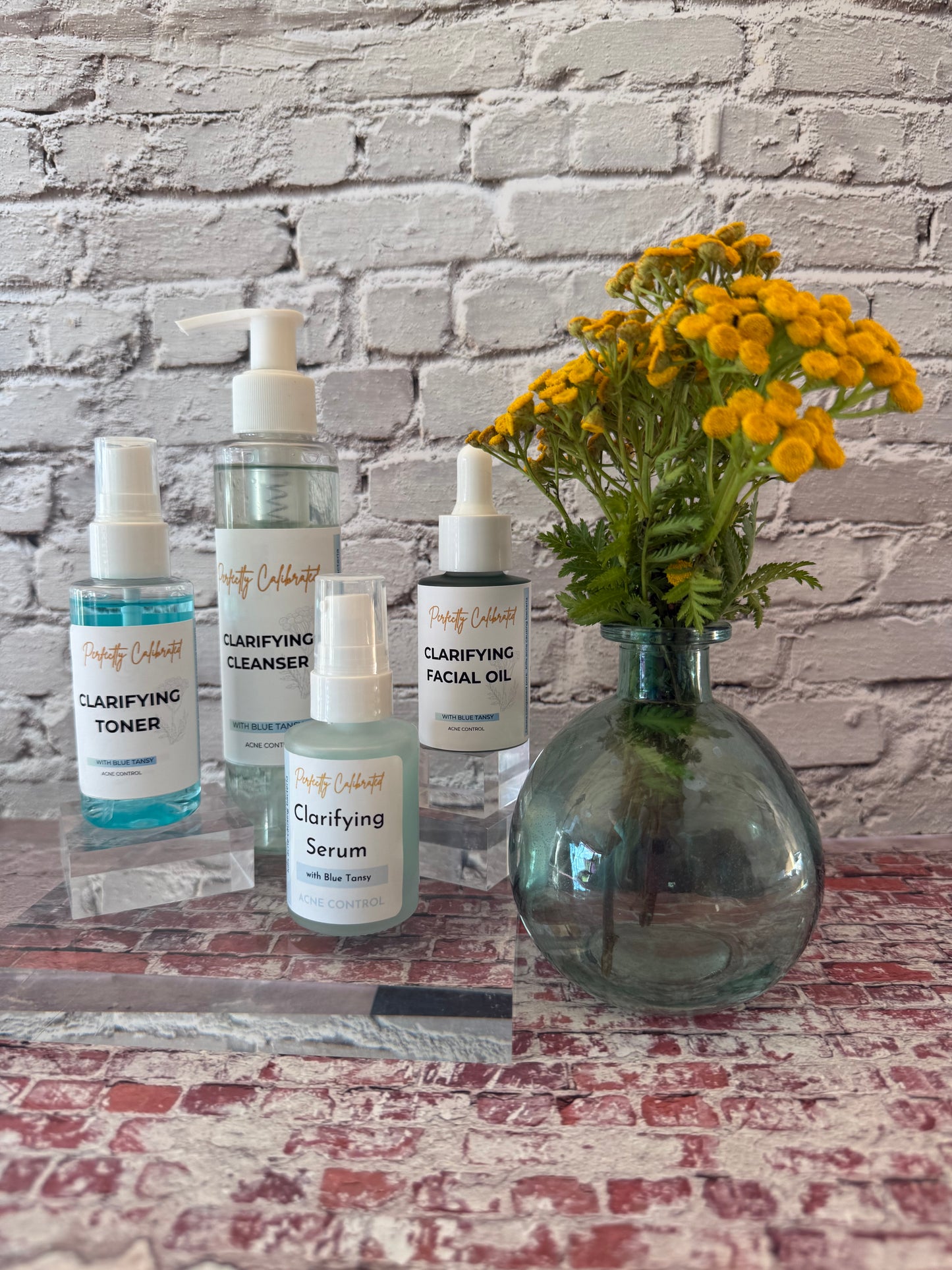 Clarifying Facial Oil/Blue Tansy