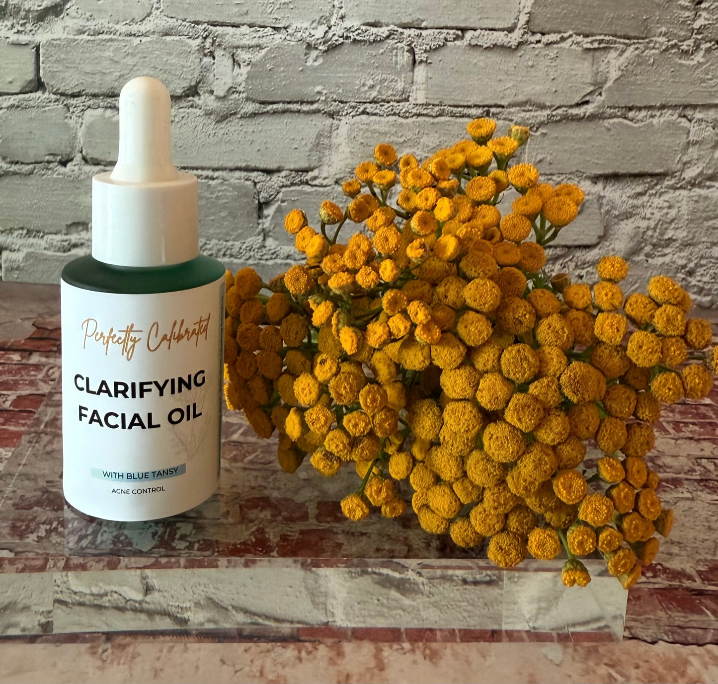 Clarifying Facial Oil/Blue Tansy