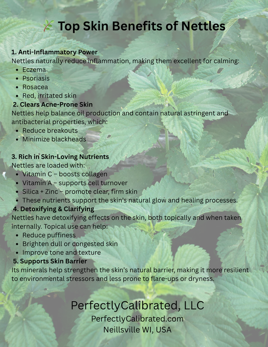 Top Skin Benefits of Nettles