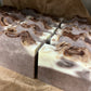 Cocoa Cashmere Bar Soap (Goat Milk)